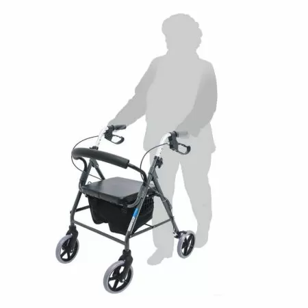 Ходунки-роллаторы Barry R Euro